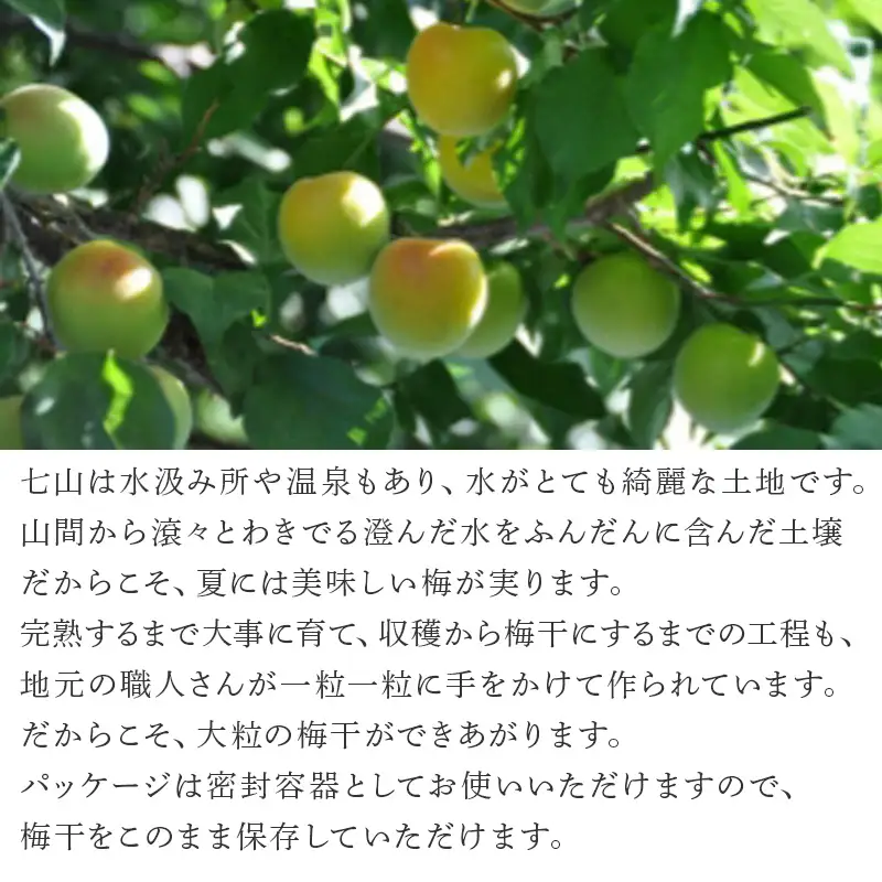 唐津七山 南高梅大粒減塩しそ味 500g×2(合計1kg)