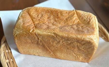 手作り 柔らかパンセット 10個 冷凍 パン 冷凍食品 おまかせ ギフト ティータイム こだわり 手作り 北海道 釧路 F4F-8509
