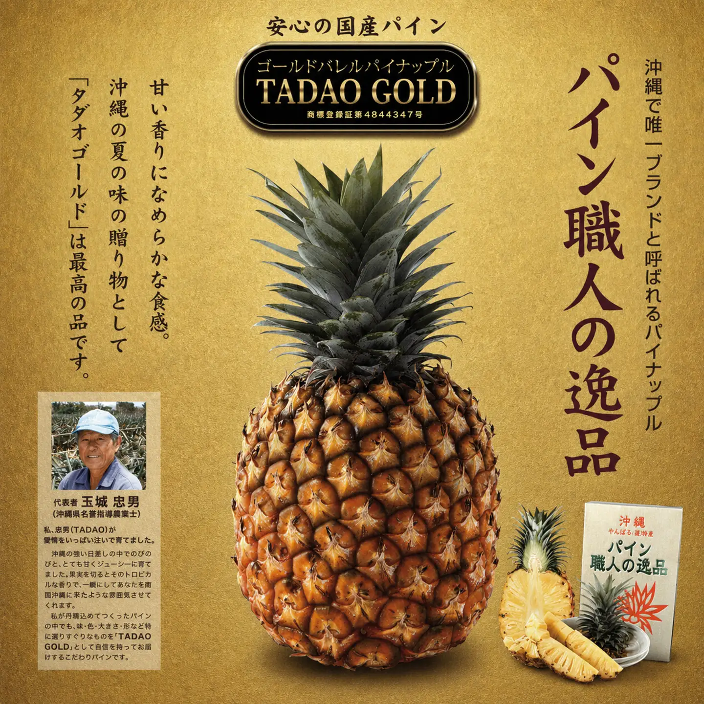 パイナップル TADAO GOLD 4～8玉 約9kg（多冠芽含む）