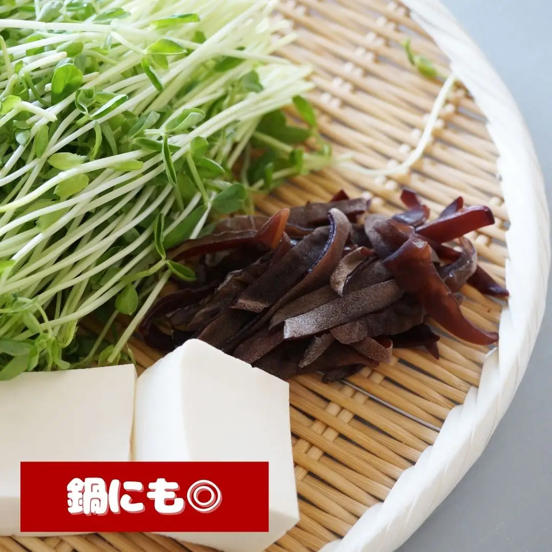 きくらげ 肉厚生 きくらげ 70g×6パック | 津久見市