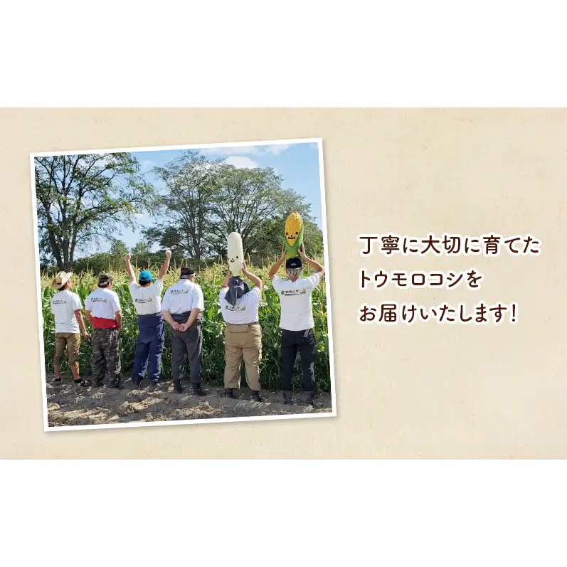 芯付ポップコーン 3本 お菓子 とうもろこし コーン