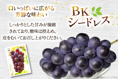 【期間限定発送】ぶどう エミー農園で作る 完熟ぶどう 2種食べ比べセット シャインマスカット ＆ BKシードレス 計 600g
