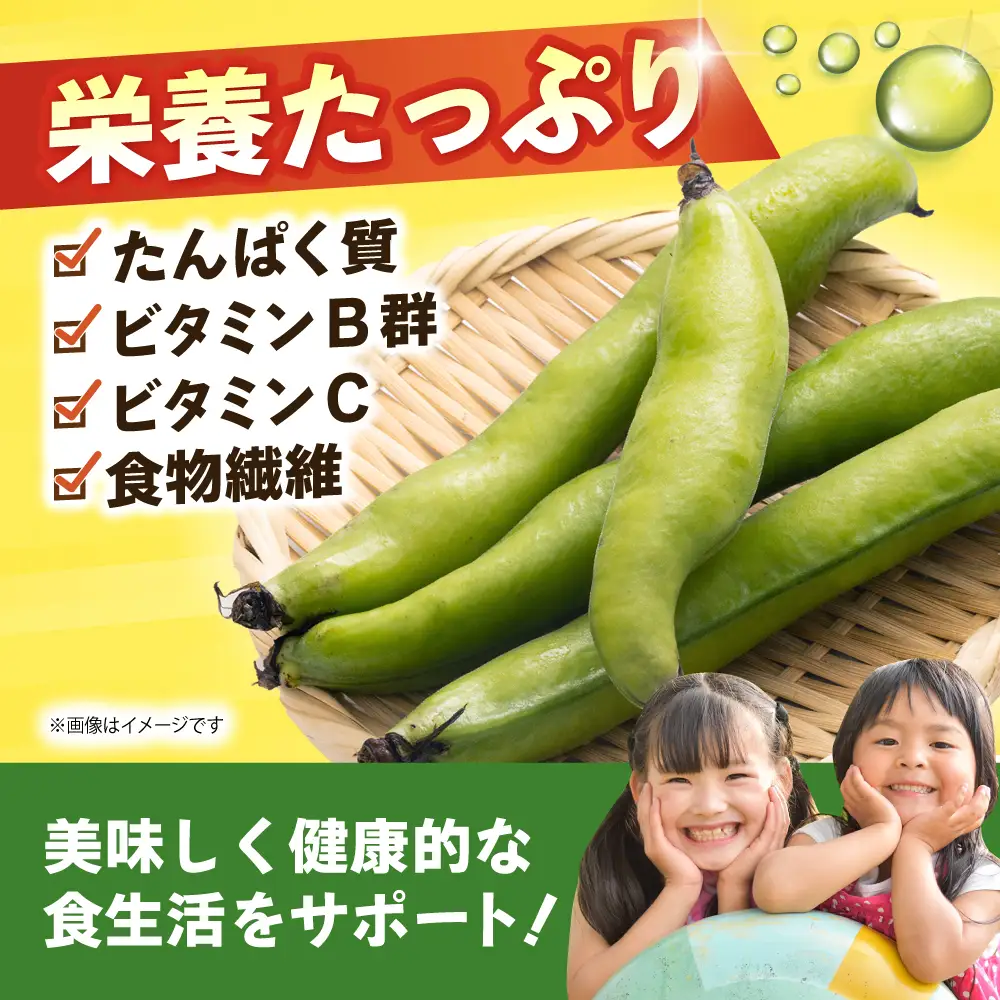 【朝採れ】 訳あり 生そら豆 2kg 【にしやまファーム】 新物 さや付き そら豆[HDI002]