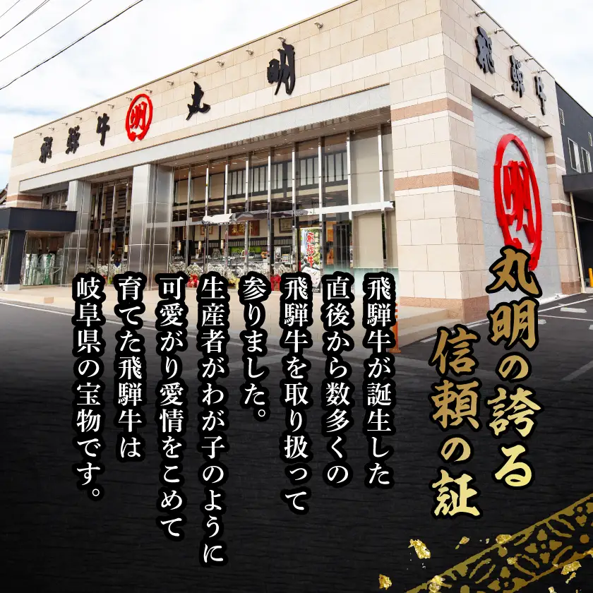 【訳あり】飛騨牛5等級　切り落とし用途いろいろ　1kg【配送不可地域：離島】【1668213】
