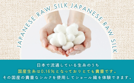 ＜西予市産シルク100％使用 ショール織体験 1名様＞ 国産生糸使用 シルクショール ワークショップ 機織り体験 機織り 手織り 絹織物 体験 シルク博物館 チケット 愛媛 西予 野村 伝統工芸 愛媛県西予市蚕糸業振興協議会 西予市【常温】NES0001