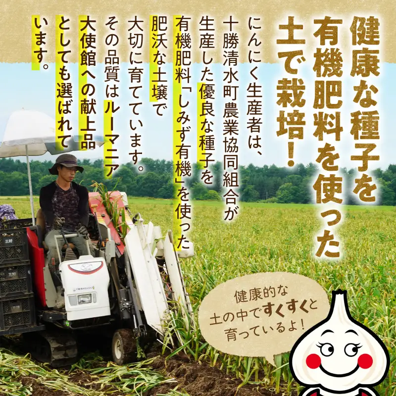 【北海道産】十勝育ちのにんにく Lサイズ(玉) 1kg _S021-0021