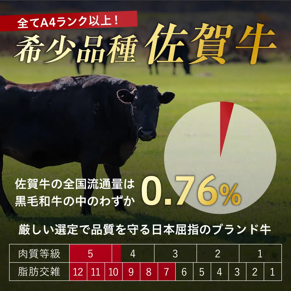 佐賀牛 赤身霜降り しゃぶしゃぶ・すき焼き用 1.2kg（400g×3P） 肩orモモ 吉野ヶ里町[FDB071]