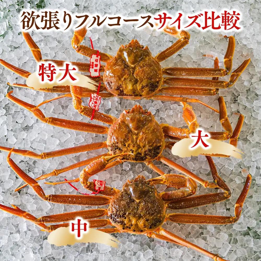 鳥取県産　タグ付きボイル松葉ガニと活松葉ガニの欲張りフルコース大2枚セット   | カニ 松葉ガニ 活 美味しさに 訳あり 大容量 　(800g前後)　※2026年11月上旬～2027年3月下旬頃に順次発送予定