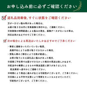 【先行予約】 【 令和8年度産 】 お米 5kg にこまる 米