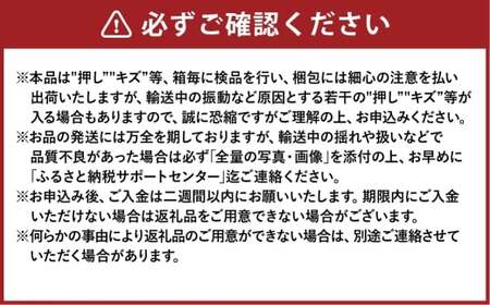 シャインマスカット晴王 3～6房 計約2kg 【2026年8月下旬～11月下旬まで順次発送予定】 マスカット 葡萄 ぶどう ブドウ 果物 フルーツ 岡山県 倉敷市