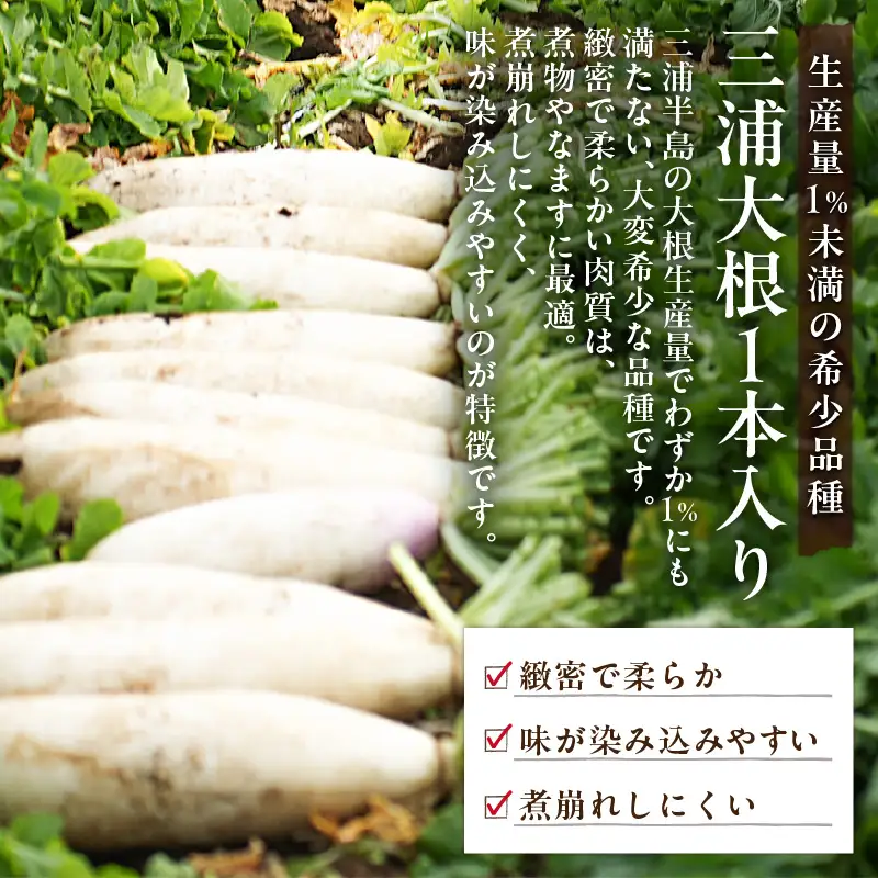 ボリューム 満点 ！ 季節の野菜 詰め合わせ（ 冬 ） M001-004-02 野菜 三浦野菜 先行予約