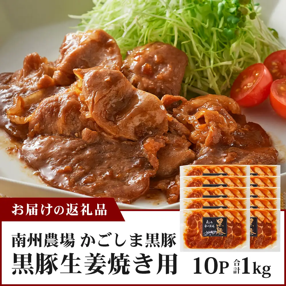 鹿児島県産 黒豚生姜焼きセット（100g×10パック）味付き肉 冷凍 NS-23 | 鹿児島 黒豚 かごしま黒豚 お肉 肉 豚肉 しょうが焼き 焼くだけ 味付き おかず お弁当 加工肉 真空パック 鹿児島県 南大隅町 南州農場