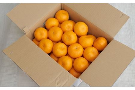 S040-005A_農家の手摘み 太田 ポンカン 5kg〈先行受付〉/ ポンカン ぽんかん 柑橘 みかん フルーツ