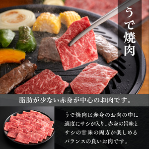 和牛【共通返礼品】やまぐち和牛燦 豪華満喫セット 1.7kg BH0501