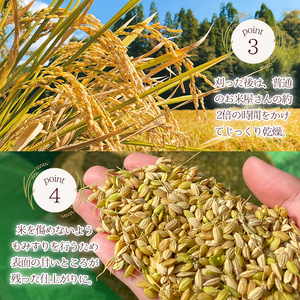 米 うまSoo米(5kg) ひのひかり 白米 精米【曽於市観光協会】A587