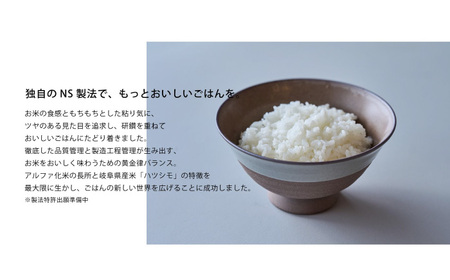 パックご飯 炊かなくていいお米 白飯(360g×2袋) [ANBF016] パックご飯