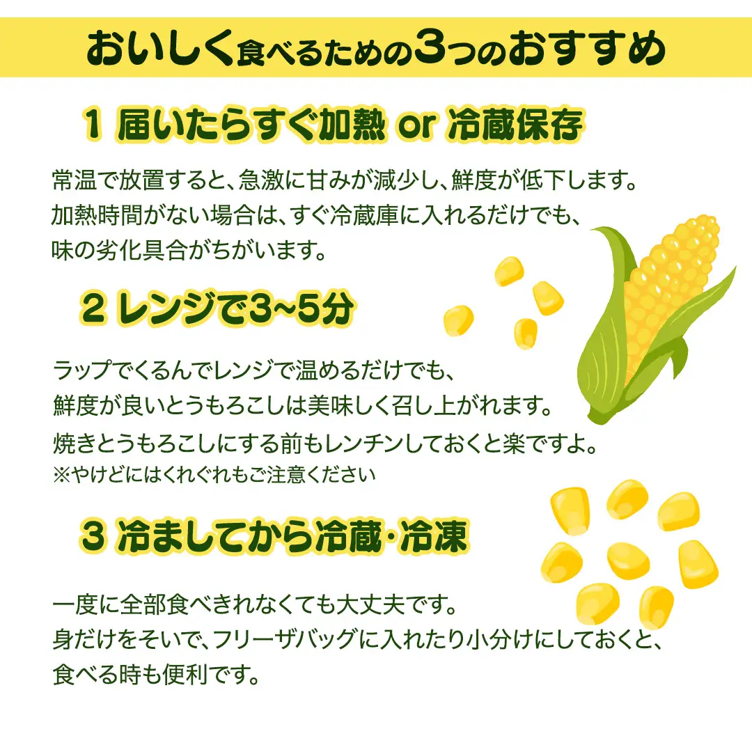  《 2027年 収穫分 》 朝採れ 桜川市産 とうもろこし 約4kg (11～13本) 2027年 先行予約 朝採り 小分け 食べきり レンチン キャンプ BBQ バーベキュー スイートコーン おおもの ゴールドラッシュ おひさまコーン とうきび 茨城県 桜川市 [FJ001sa] 