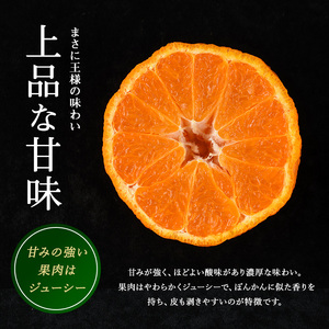 長島町産 大将季（ハウス） 贈答用 (約2.5kg) 12月中旬発送 【長島柑橘直販合同会社】kanchoku-7158