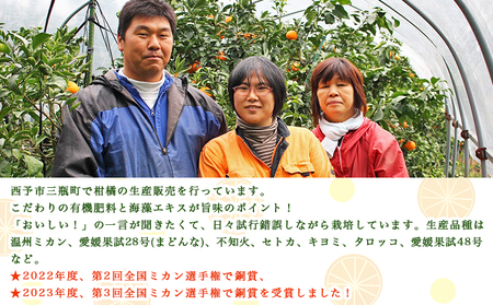 先行予約 ＜とびっきりの愛媛 キヨミタンゴール 約2kg（家庭用大小混合）＞ 訳あり 家庭用 果物 柑橘 フルーツ みかん 蜜柑 オレンジ 清見タンゴール 特産品 片山果樹園 食べて応援 西宇和 愛媛県 西予市【常温】『2027年3月中旬～3月下旬迄に順次出荷予定』MKK0010