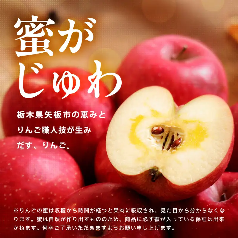 【ふるなびWEEK対象】樹上完熟・葉とらず・すっぴんりんご [ サンふじ ] 5kg 栃木県産
