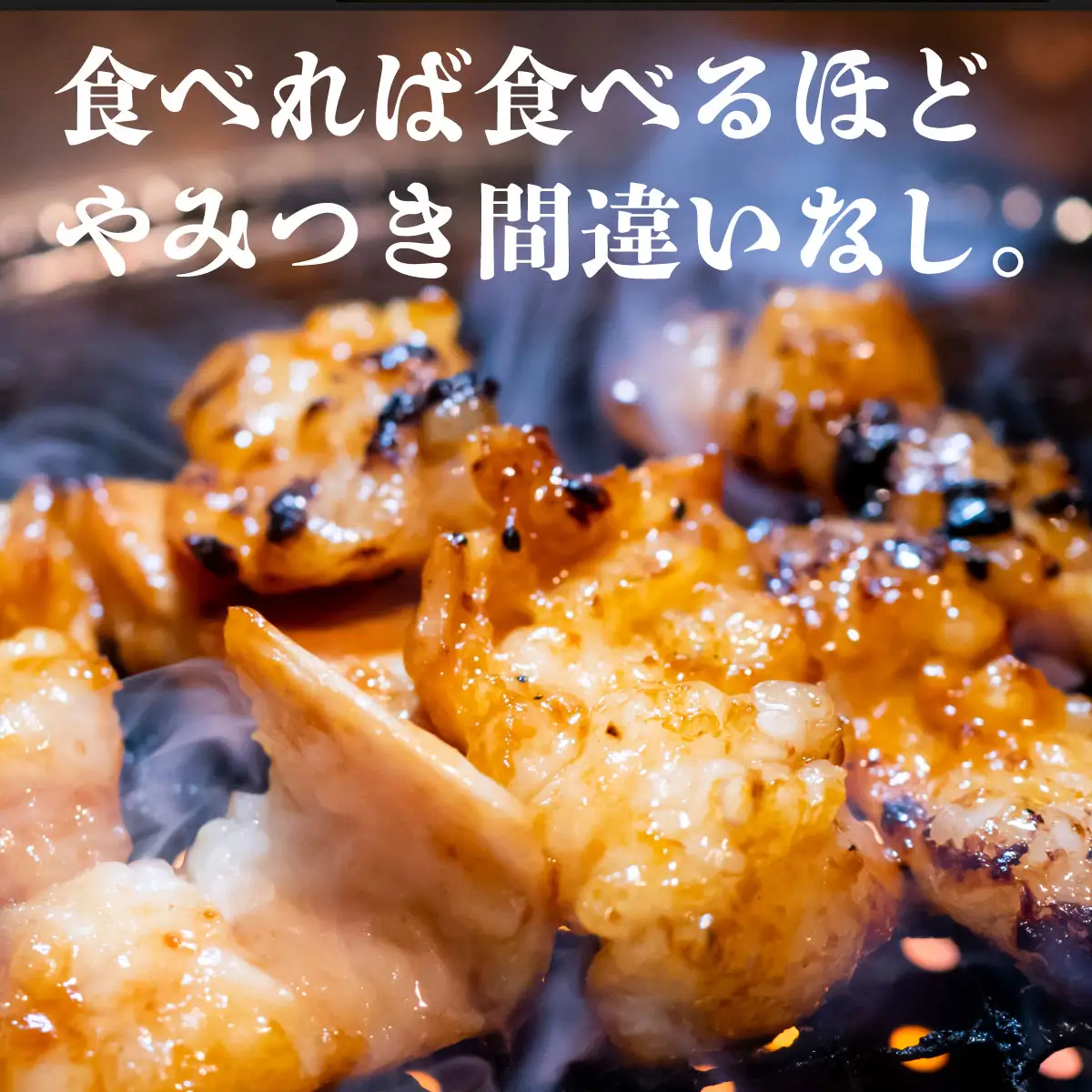 ヤマジュウの特選タレ漬け！牛ハラミ肉５００g＆国産牛ホルモン３００ｇ