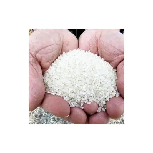 お米作り60年以上 檜本さんのコシヒカリ５kg [1232] お米 精米 ５kg こしひかり 兵庫県 多可町 ひのきもとさん