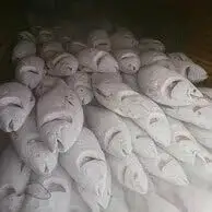 目鉢鮪頭 の 希少部位 刺身用 ＋ 目鉢鮪カマ 1kg M007-004 冷凍 マグロ