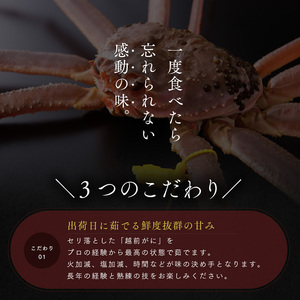 【訳あり】 越前ガニ 500g以上 3杯 脚折れ カニ 越前ガニ