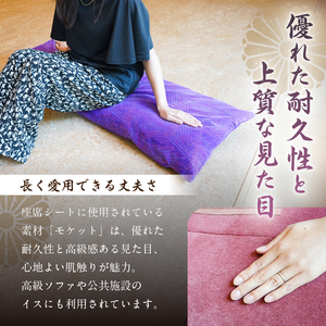 おうちでゆるっとメトロ（120×45cm・半蔵門線：紫色）【kt031-010-1】