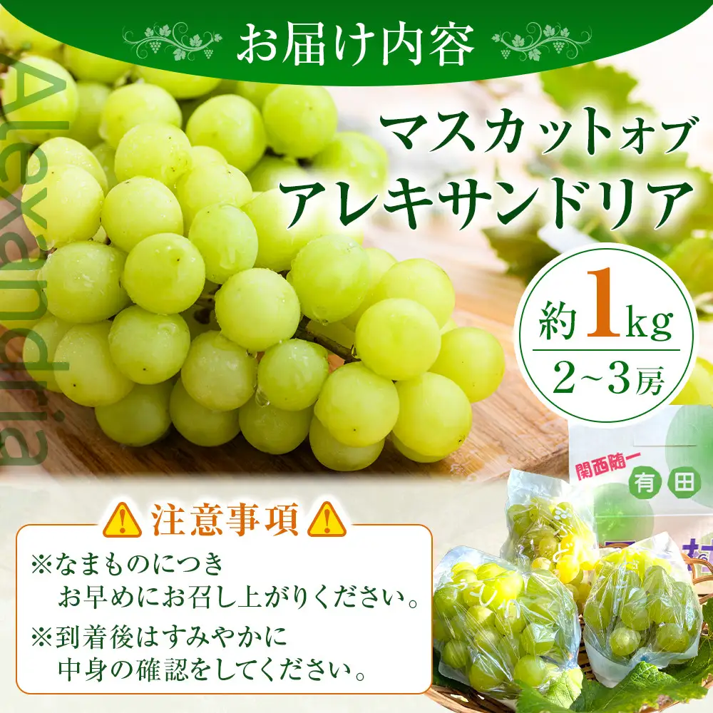 ［先行予約］和歌山 有田産 マスカットオブアレキサンドリア 約1kg 2～3房 ［2026年8月下旬より順次発送予定］