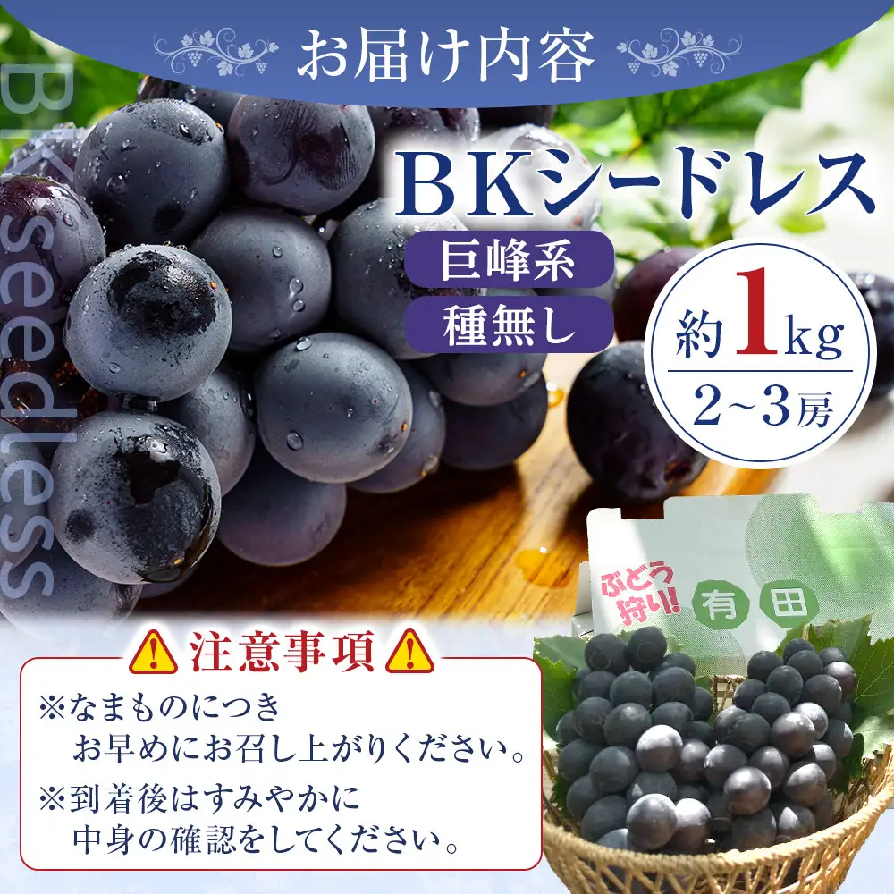 ［先行予約］和歌山 有田産 種なし BKシードレス 約1kg 2～3房 ［2026年8月下旬より順次発送予定］