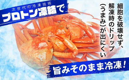【先行予約】【12月発送】【数量・期間限定】福井県産 越前 紅ズワイガニ ×2杯【急速冷凍】（プロトン凍結）