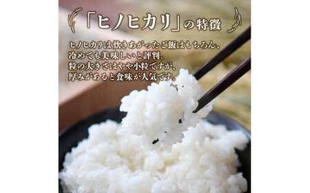 【令和7年産米】ヒノヒカリ 10kg（5kg×2袋 国産 米 お米 令和7年産 精米 ひのひかり 10kg 小分け 数量限定）