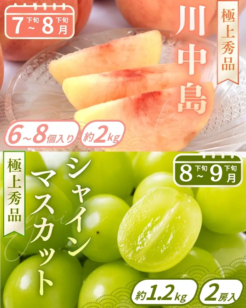 【フルーツ定期便・全9回】品質に自信あり！くしがきの里から直送　人気の果物を贅沢に楽しめる♪  / 定期便 桃 もも みかん 柑橘 シャインマスカット ぶどう 柿 キウイ マスカット いちご 不知火 はれひめ イチゴ 苺 果物 フルーツ 9回【BK-kgr040】