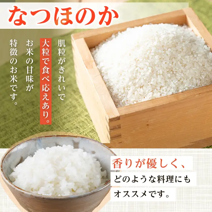 i1179-C 令和7年産 鹿児島県 出水市産 なつほのか (計20kg・5kg×4袋) 米 20kg なつほのか 鹿児島 20キロ お米 九州 九州産 甘み 大粒 【いずみキッチン】
