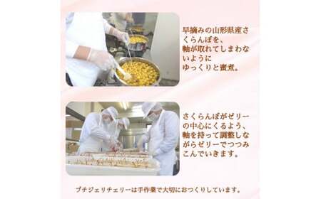 さくらんぼの宝石!プチジェリチェリー 8個入×1箱セット　006-G-SF003