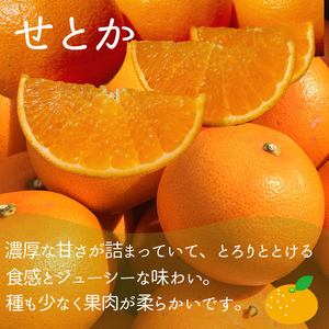 【2026年12月上旬頃から順次発送】【定期便 全3回】旬の愛媛三大高級柑橘 家庭用 【愛果28号 せとか 甘平】約2.5kg | 柑橘 みかん 果物 あいか 紅まどんな と同品種 くだもの フルーツ おすすめ 高級 人気 お取り寄せ グルメ ギフト 期間限定 数量限定 ご当地 愛媛県 松山市【SU013】