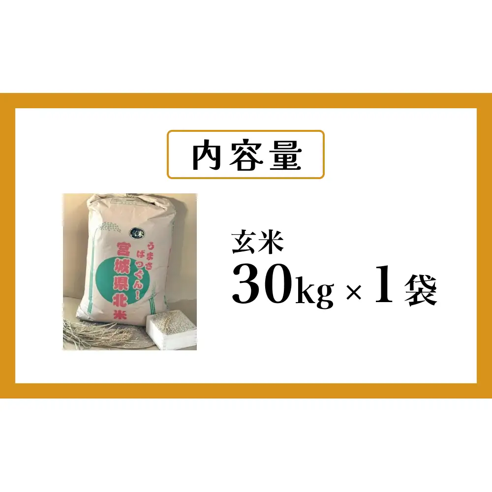 米 ひとめぼれ 玄米 30kg 令和7年産 ヒトメボレ お米 ごはん ご飯 30キロ 産地直送 米処 美味しい おこめ こめ さっぱり