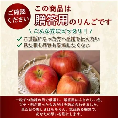 【1月出荷予定】平均糖度13度以上! サンふじ 約10kg 贈答用　青森県産りんご【配送不可地域：離島・沖縄県】【1667985】