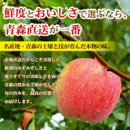 【12月出荷予定】平均糖度13度以上! サンふじ 約10kg おもてなし用【配送不可地域：離島・沖縄県】【1667988】