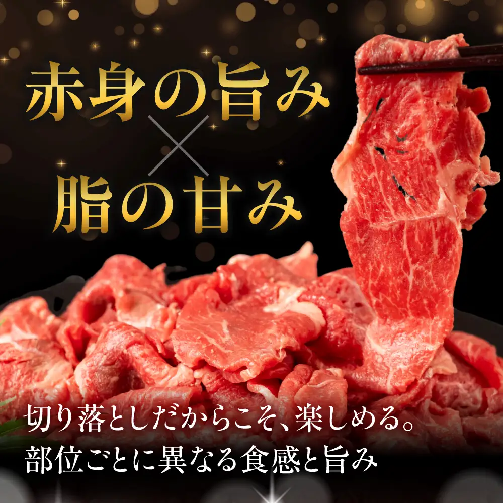 定期便 飛騨牛 A5 切り落とし｜飛騨牛