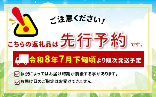 あかつき 約3kg 7～12玉 ［おぶせファーマーズ］桃 もも モモ フルーツ 果物 クール便 冷蔵便 長野県産 信州産  令和8年産【2026年7月下旬～8月上旬発送】［F-16］