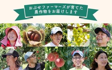 コシヒカリ＆風さやか 食べ比べ 約10kg ［ おぶせファーマーズ ］ お米 コメ おこめ ご飯 精米 長野県産 2種  ［FK-29］