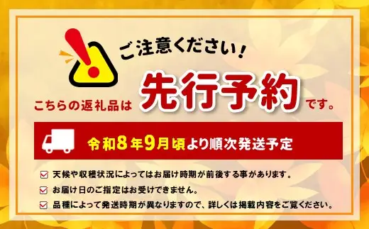 だて白桃 約3kg 7～12玉 ［おぶせファーマーズ］桃 もも モモ 白桃 フルーツ 果物 冷蔵便 クール便 長野県産 信州産 令和8年産【2026年9月上旬～中旬発送】［F-44］
