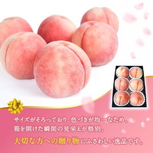 桃 白桃 数量限定！【モモ】川中島白桃 約2kg 6個入  100個に1個の特選最上級秀品！ こだわり農家厳選！【2027年7月下旬から8月下旬順次発送】/ 和歌山県 かつらぎ町 もも 桃 高級 贅沢 特選【BK-kgr036】