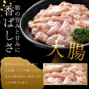 うしの中山 A4・A5等級黒毛和牛 ホルモン（大腸） 計1kg（500g×2袋）黒毛和牛 和牛 肉 牛肉 国産 九州産 鹿児島県産 ホルモン 焼肉 日本一 a5-347