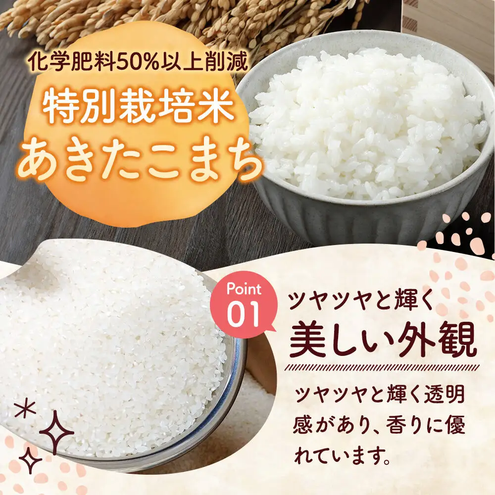 《令和8年産新米受付》米 特別栽培米 あきたこまち【精白米】5kg×1袋 ローズメイ 秋田県 大仙市産