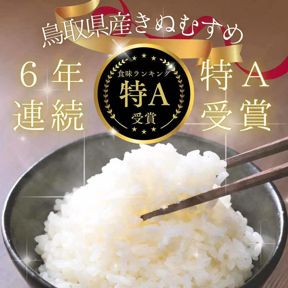 ＜令和8年産予約＞鳥取県南部町産 きぬむすめ 5kg 米 お米 こめ おこめ コメ 白米 精米 なんぶ里山デザイン機構