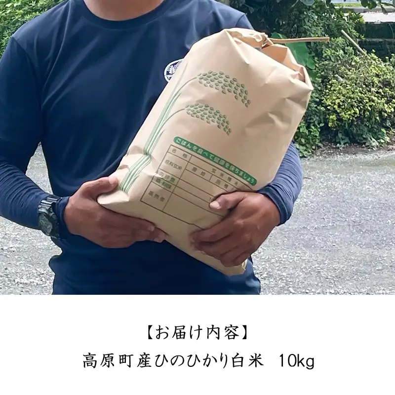 【令和8年産】宮崎県高原町産 ひのひかり白米 10kg TF00856-P00079