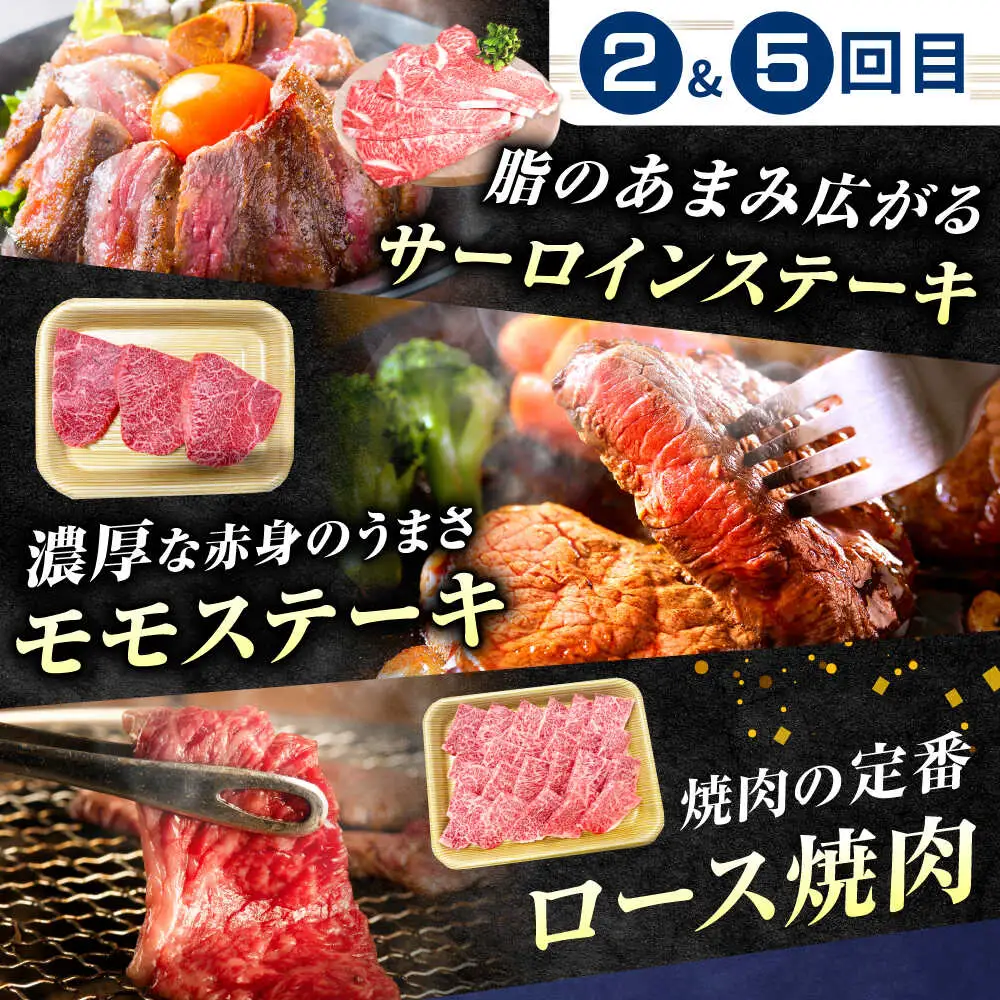 【6回定期便】肉のキング 飛騨牛満喫セット / 飛騨牛 サーロイン ステーキ 肉 詰め合わせ セット 岐阜県 / 御嵩町 / 肉のキング[AVAG020]